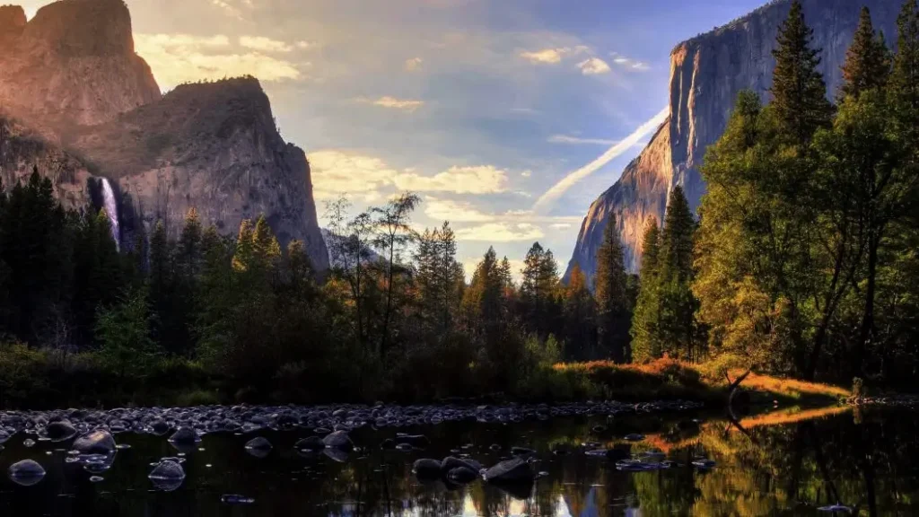 Trees and Mountain park