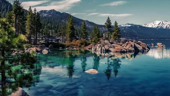 Lake and trees mountains park
